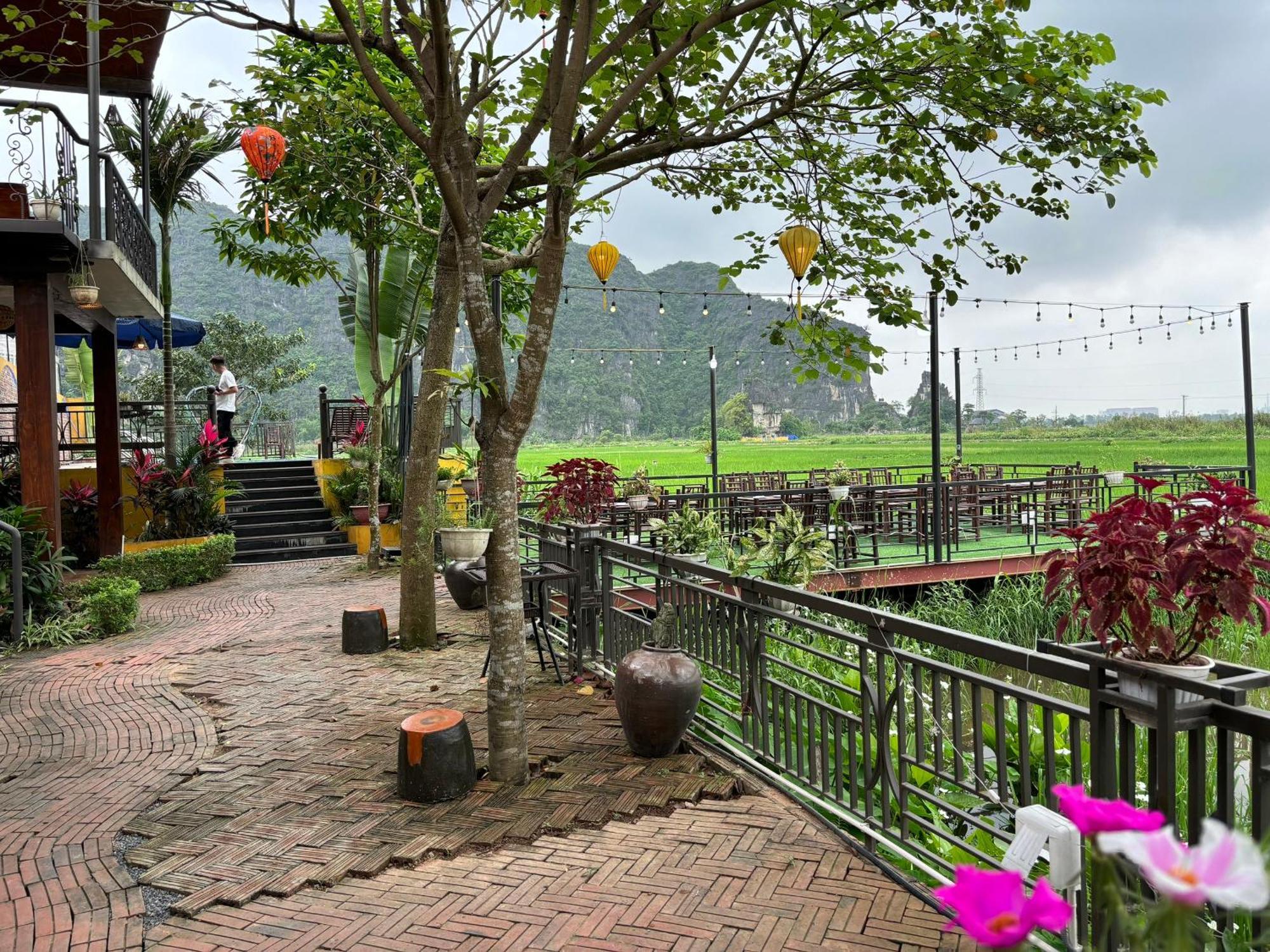 Papaya Bungalow & Rice Fields Lejlighed Ninh Binh Eksteriør billede
