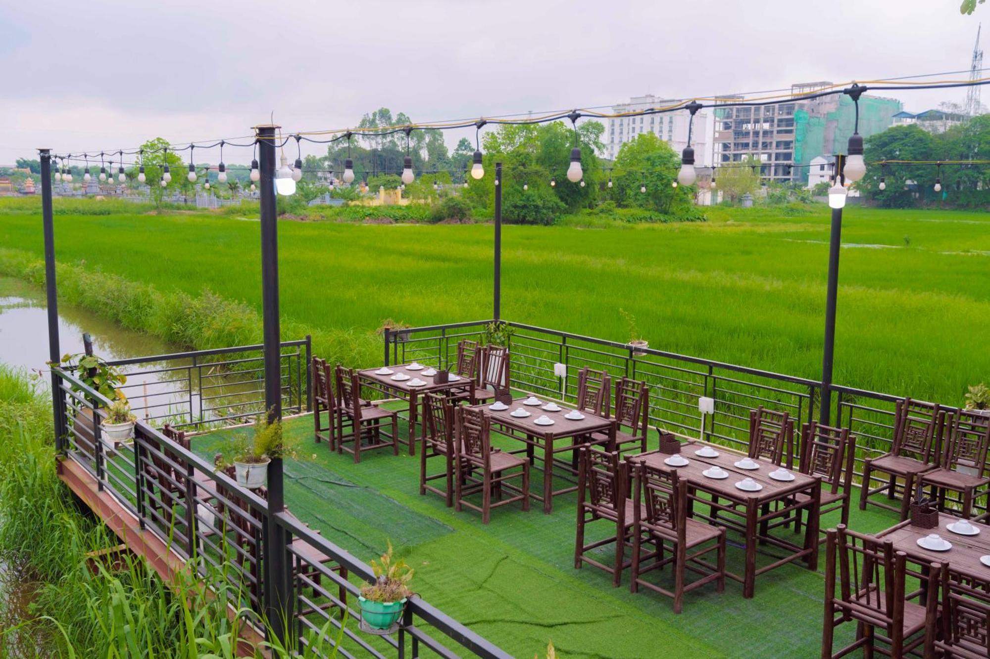 Papaya Bungalow & Rice Fields Lejlighed Ninh Binh Eksteriør billede